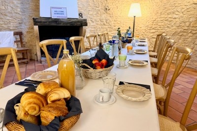 Troupeau de moutons paissant dans un champ verdoyant, avec des vignobles et un village en arrière-plan sous un ciel nuageux.