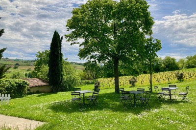 Troupeau de moutons paissant dans un champ verdoyant, avec des vignobles et un village en arrière-plan sous un ciel nuageux.