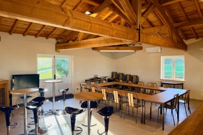 Troupeau de moutons paissant dans un champ verdoyant, avec des vignobles et un village en arrière-plan sous un ciel nuageux.