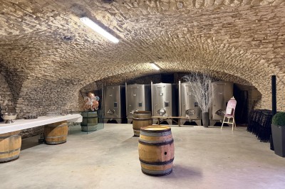 Troupeau de moutons paissant dans un champ verdoyant, avec des vignobles et un village en arrière-plan sous un ciel nuageux.