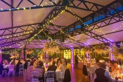 Vue nocturne d'une verrière illuminée par des lumières violettes, entourée d'arbres et d'un jardin.