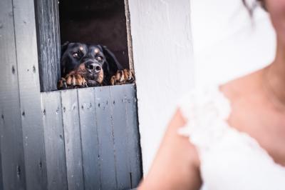 Miniature Sabrina K Photographie #21 Photo Sabrina K Photographie #50