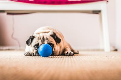 Miniature Sabrina K Photographie #40 Photo Sabrina K Photographie #50