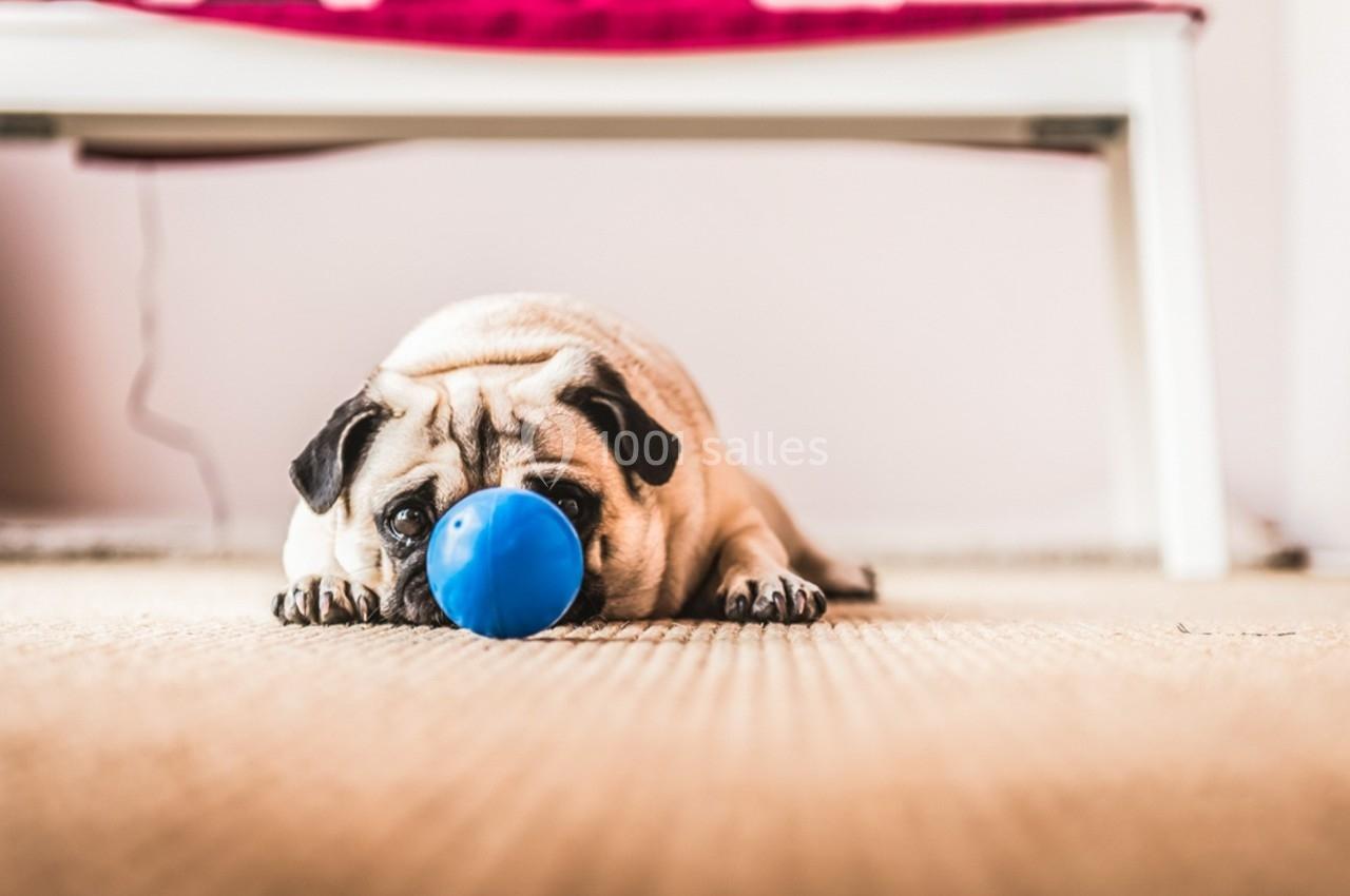 Photo Sabrina K Photographie #40