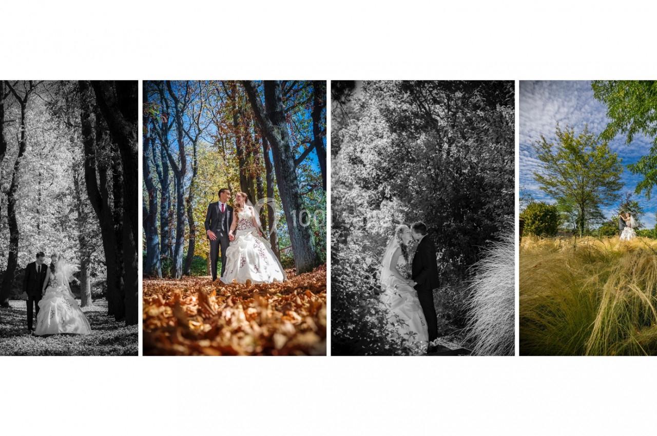 Photo Thierry Hugon #50