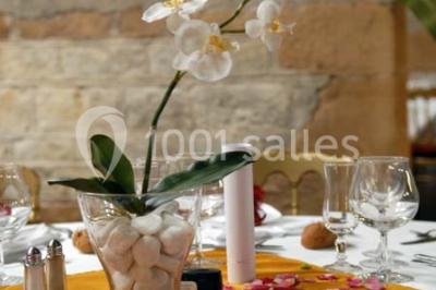 Location salle Anse (Rhône) - Domaine des Communes #18