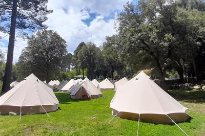 Barques traditionnelles sur une plage bordée de végétation, avec vue sur la mer et des montagnes à l'horizon.