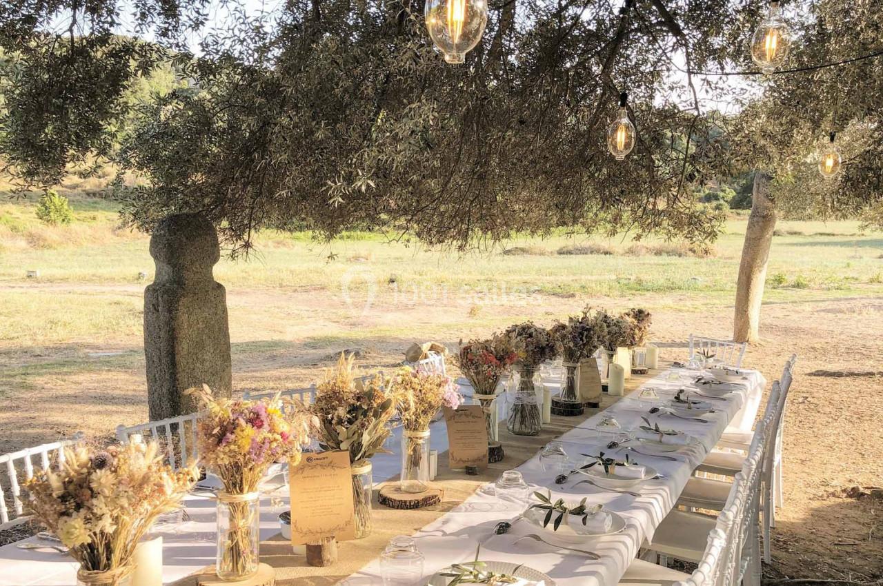 Table décorée pour un repas en extérieur, ornée de bouquets de fleurs séchées, sous des arbres avec des lumières suspendues.
