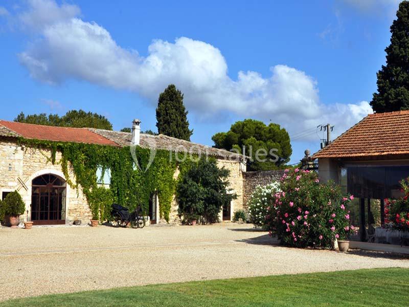 Cour d'une maison en pierre avec façade recouverte de lierre, arbres en arrière-plan et ciel bleu dégagé.