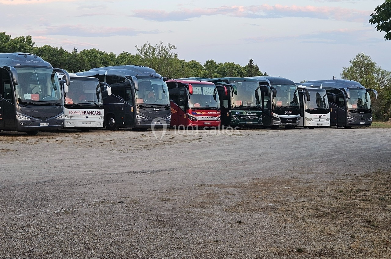 Alignement de plusieurs bus stationnés sur un parking en plein air, entouré de végétation et sous un ciel dégagé.