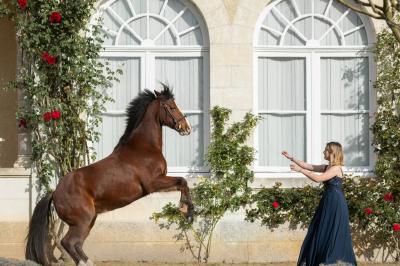 Location salle Bournezeau (Vendée) - Domaine de la Corbe #33