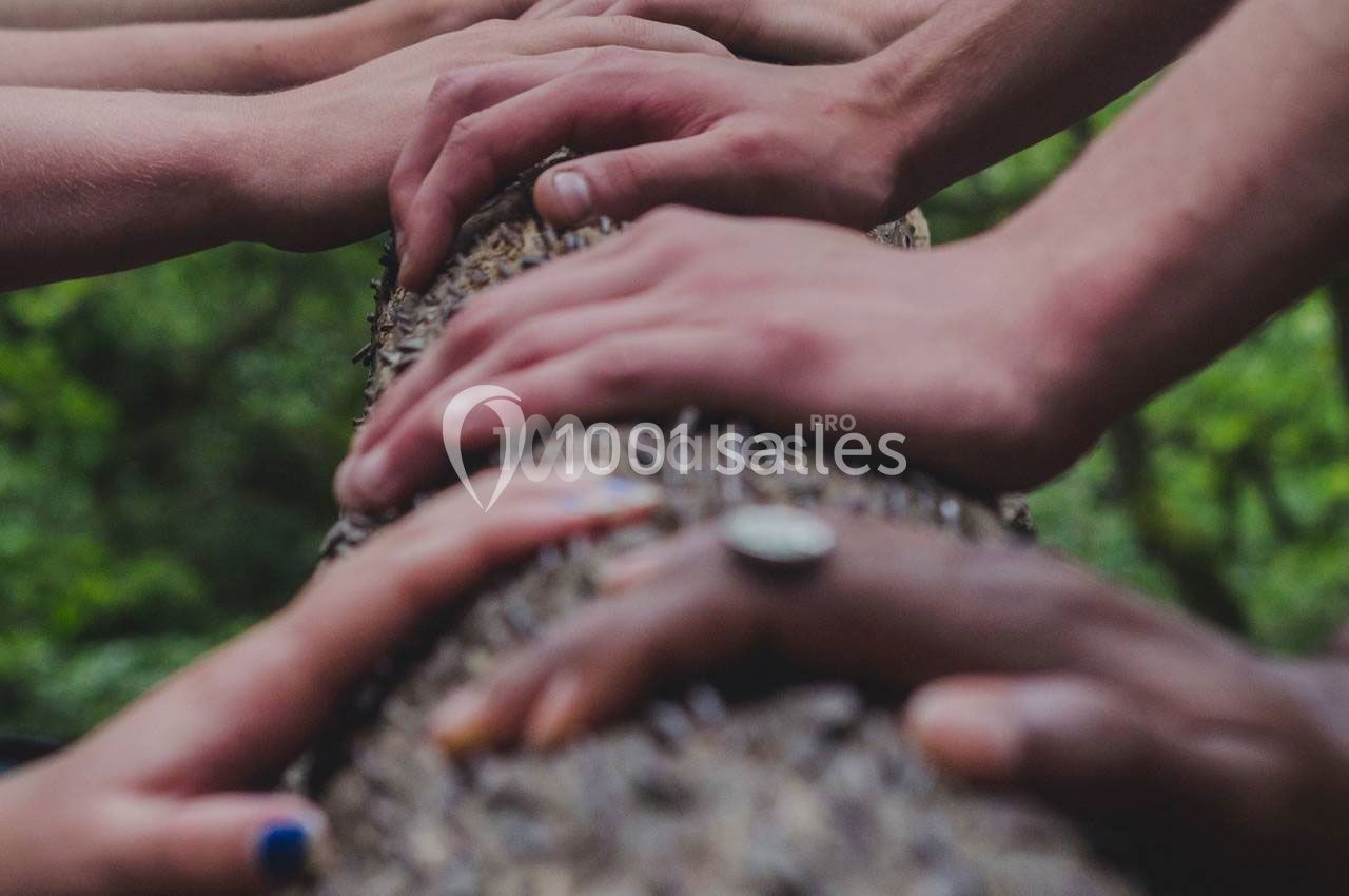 Des mains de plusieurs personnes posées sur un tronc d'arbre, symbolisant la collaboration en pleine nature.