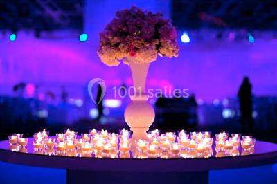 Location salle Bruyères-sur-Oise (Val-d'Oise) - Salon Prestige Organza #20