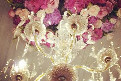 Location salle Bruyères-sur-Oise (Val-d'Oise) - Salon Prestige Organza #20