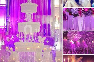 Location salle Bruyères-sur-Oise (Val-d'Oise) - Salon Prestige Organza #20