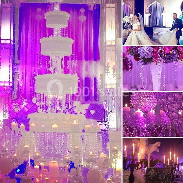 Location salle Bruyères-sur-Oise (Val-d'Oise) - Salon Prestige Organza #20