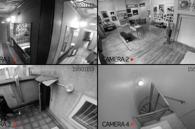 Photo Coqs En Pate #9