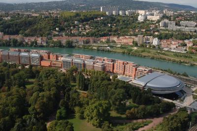 Miniature Lyon Only Lyon #4 Photo Lyon Only Lyon #4