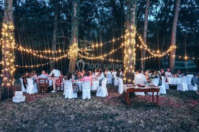 Un tandem décoré de fleurs et d'une caisse en bois, appuyé contre une clôture en bois avec un panneau publicitaire.