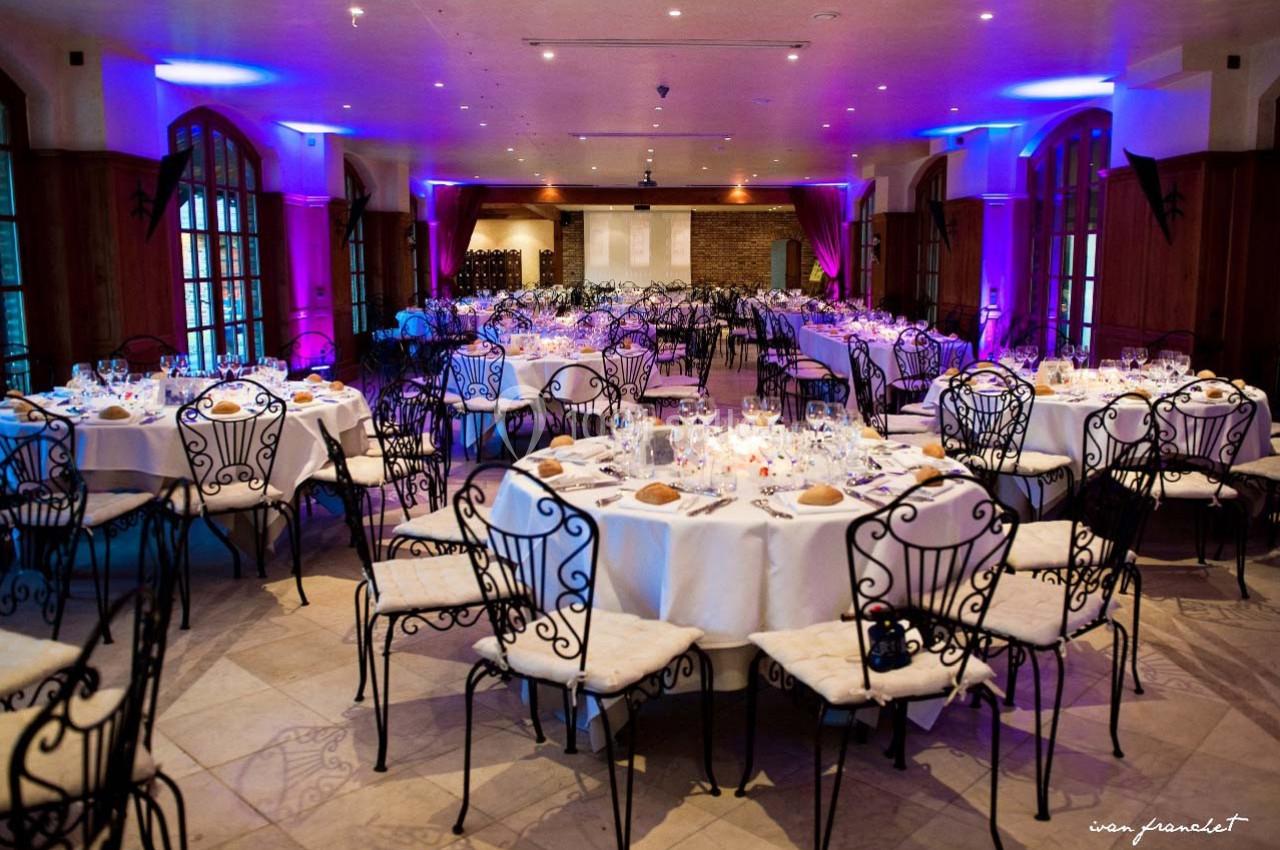 Location salle Ménestreau-en-Villette (Loiret) - Château de Villette #5