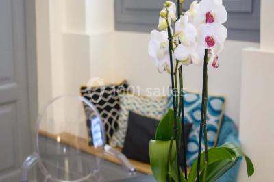 Façade d'un immeuble en pierre avec des fenêtres vitrées et un parterre de fleurs en bordure de trottoir.