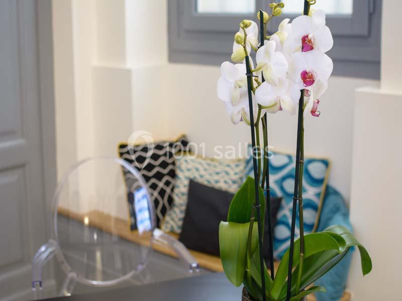 Orchidée blanche en pot sur une table, avec un fauteuil transparent et des coussins colorés en arrière-plan.