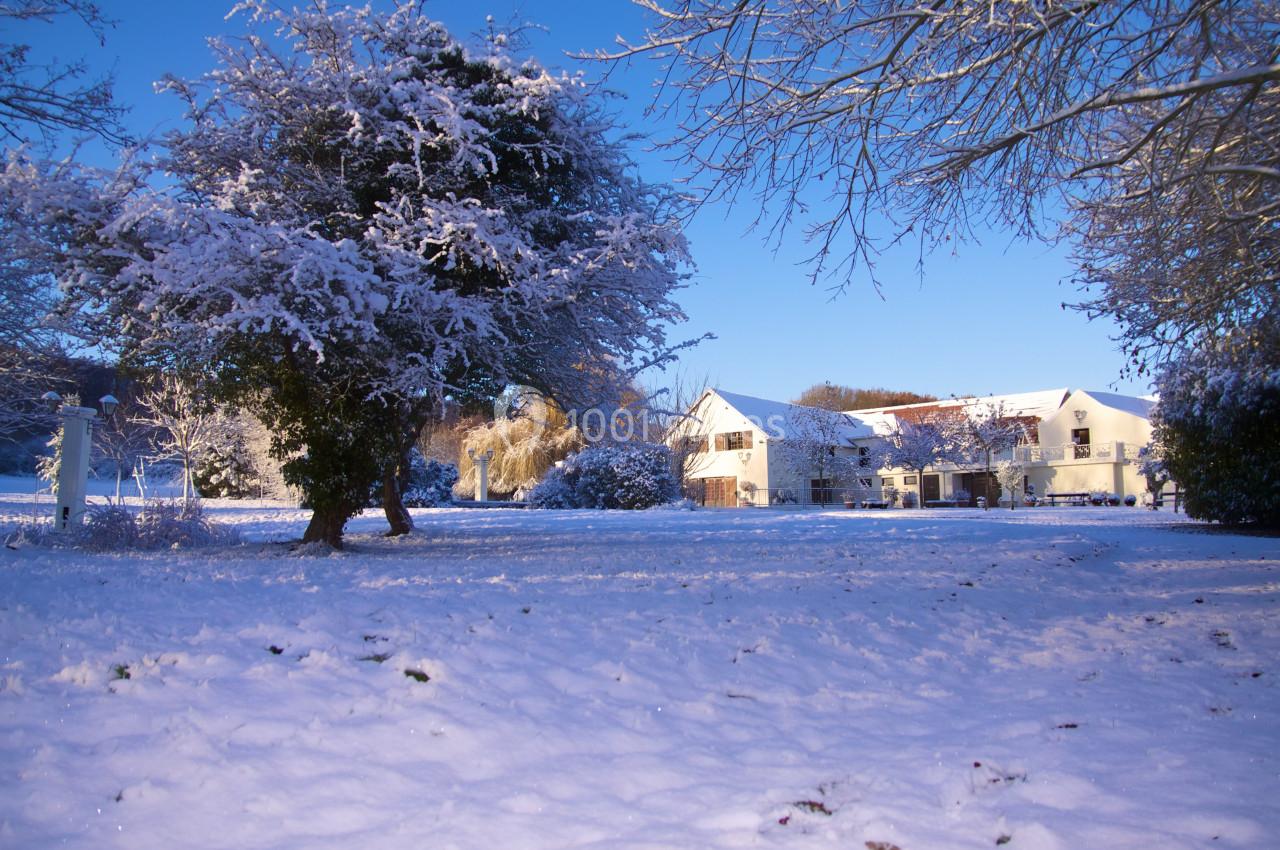 Paysage hivernal avec un grand arbre enneigé au premier plan et des bâtiments blancs en arrière-plan sous un ciel bleu.