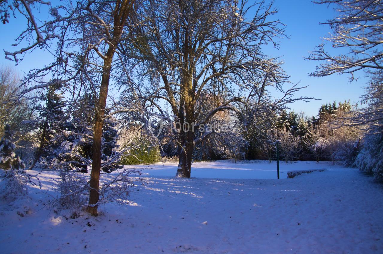 Paysage enneigé avec des arbres dénudés sous un ciel bleu clair, éclairé par une lumière hivernale.