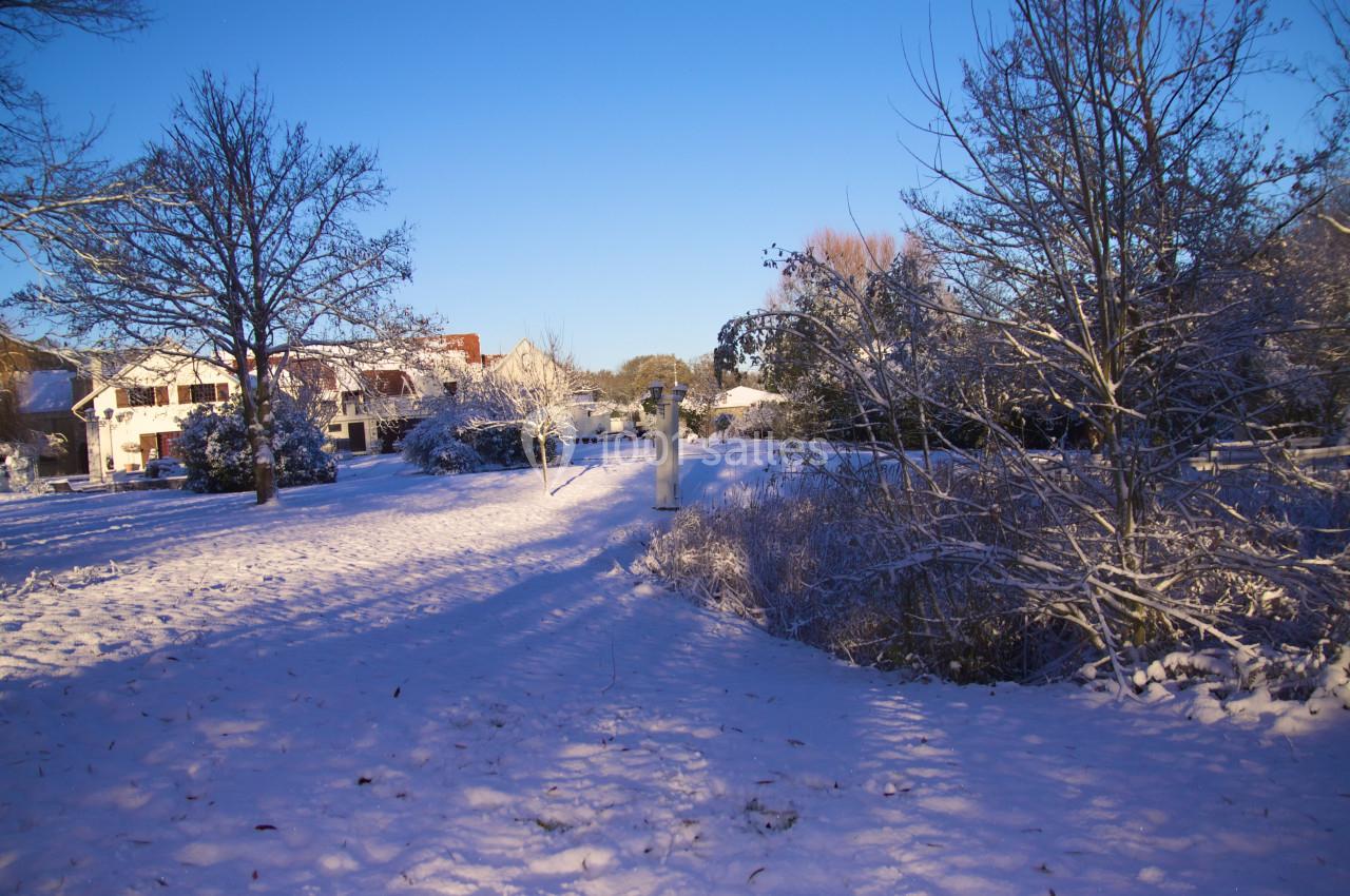 Paysage hivernal avec des arbres dénudés et des maisons en arrière-plan, recouverts de neige sous un ciel bleu clair.