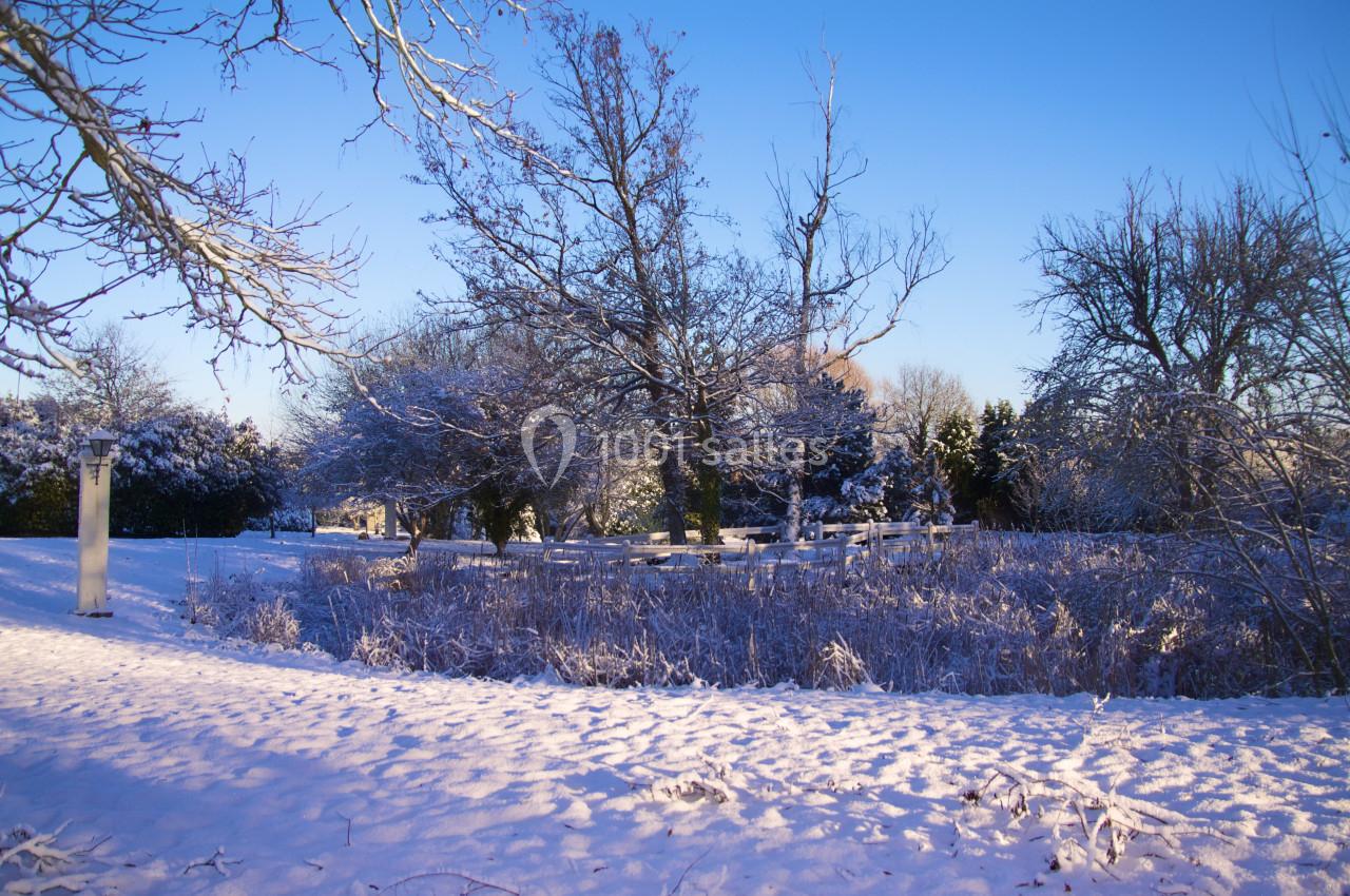 Paysage hivernal avec arbres dénudés et sol recouvert de neige sous un ciel bleu clair.