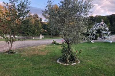 Arrangements floraux sur des supports en bois disposés sur une table recouverte d'une nappe blanche devant un mur en pierre.