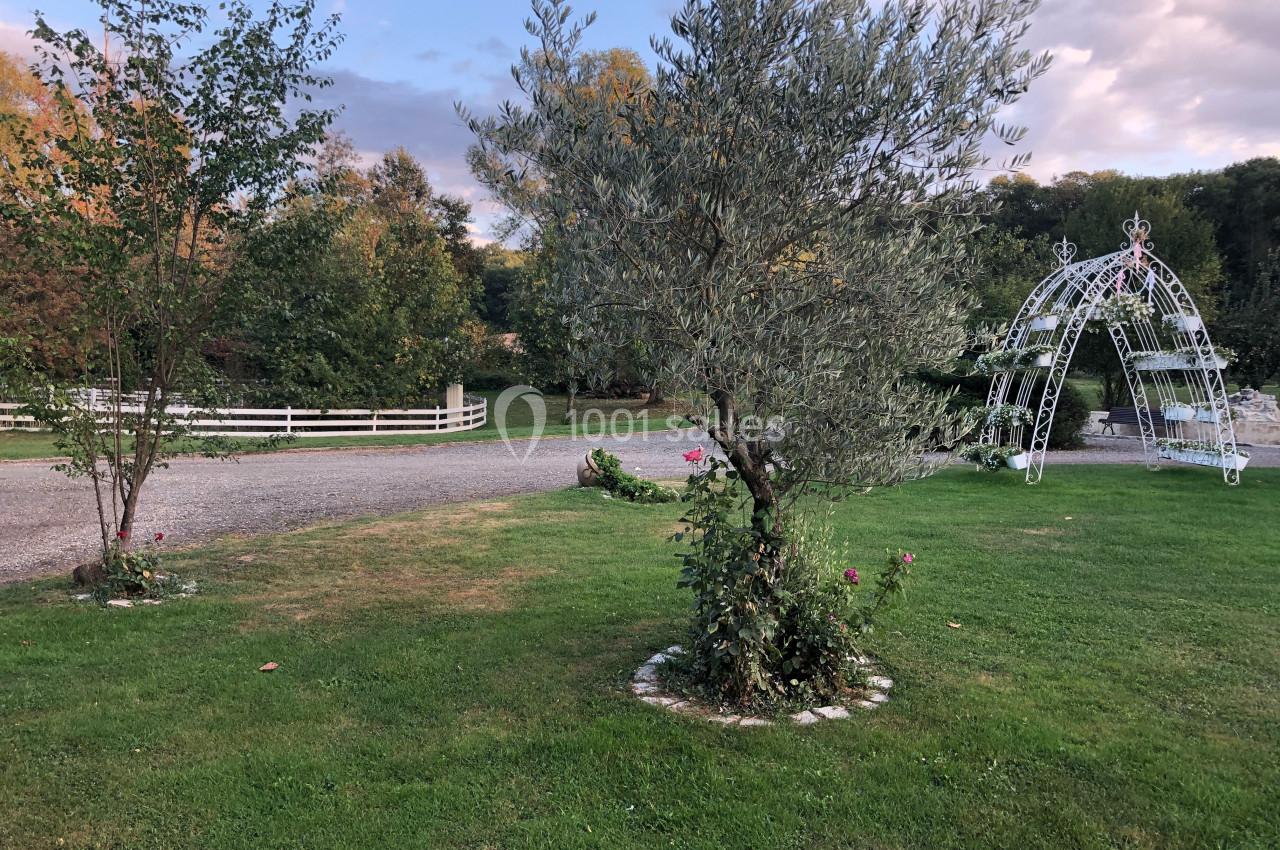Jardin avec pelouse, arbre central, arche métallique blanche et allée gravillonnée bordée d'une clôture en bois.
