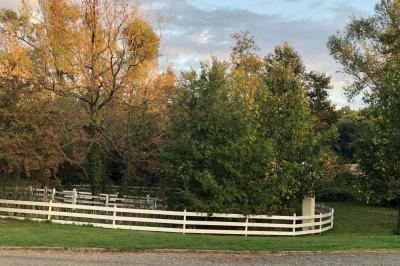 Arrangements floraux sur des supports en bois disposés sur une table recouverte d'une nappe blanche devant un mur en pierre.