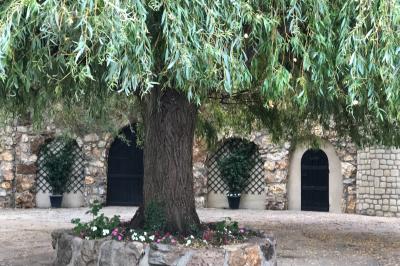 Arrangements floraux sur des supports en bois disposés sur une table recouverte d'une nappe blanche devant un mur en pierre.