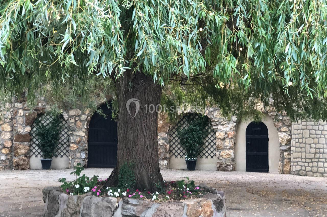 Un grand saule pleureur avec un parterre fleuri devant un mur en pierre percé de portes voûtées.