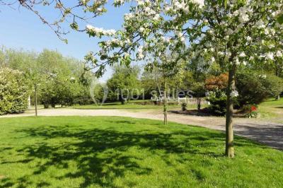 Arrangements floraux sur des supports en bois disposés sur une table recouverte d'une nappe blanche devant un mur en pierre.