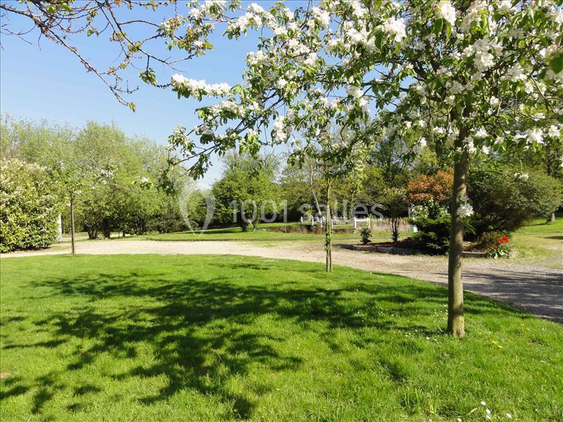Pelouse verdoyante avec arbres en fleurs sous un ciel bleu, entourée de végétation et d'un chemin gravillonné.