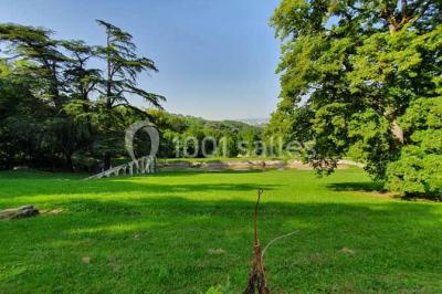 Location salle Anse (Rhône) - Château De Saint Trys #24