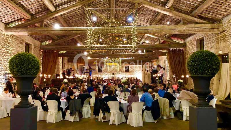 Location salle Anse (Rhône) - Château De Saint Trys #8