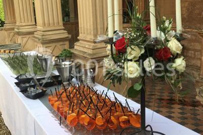 Location salle Anse (Rhône) - Château De Saint Trys #24