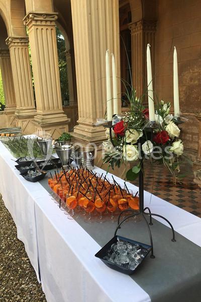 Location salle Anse (Rhône) - Château De Saint Trys #15