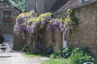 Groupe de personnes rassemblées dans un jardin verdoyant par une journée ensoleillée.