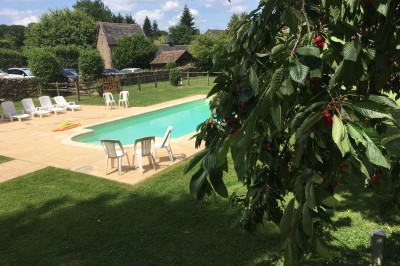 Groupe de personnes rassemblées dans un jardin verdoyant par une journée ensoleillée.