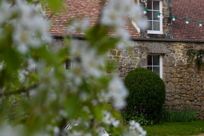 Façade en pierre d'une maison avec toit en tuiles, vue partiellement à travers des branches fleuries au premier plan.
