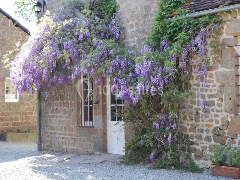 Façade en pierre d'une maison ancienne avec une porte blanche, ornée de glycines en fleurs violettes.
