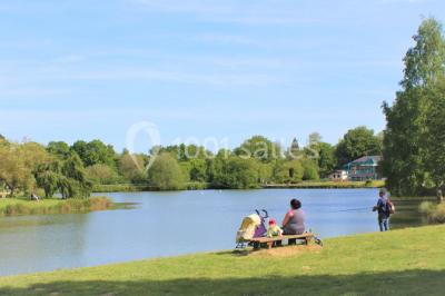 Une personne joue au tennis sur un court extérieur entouré d'arbres, sous un ciel dégagé.