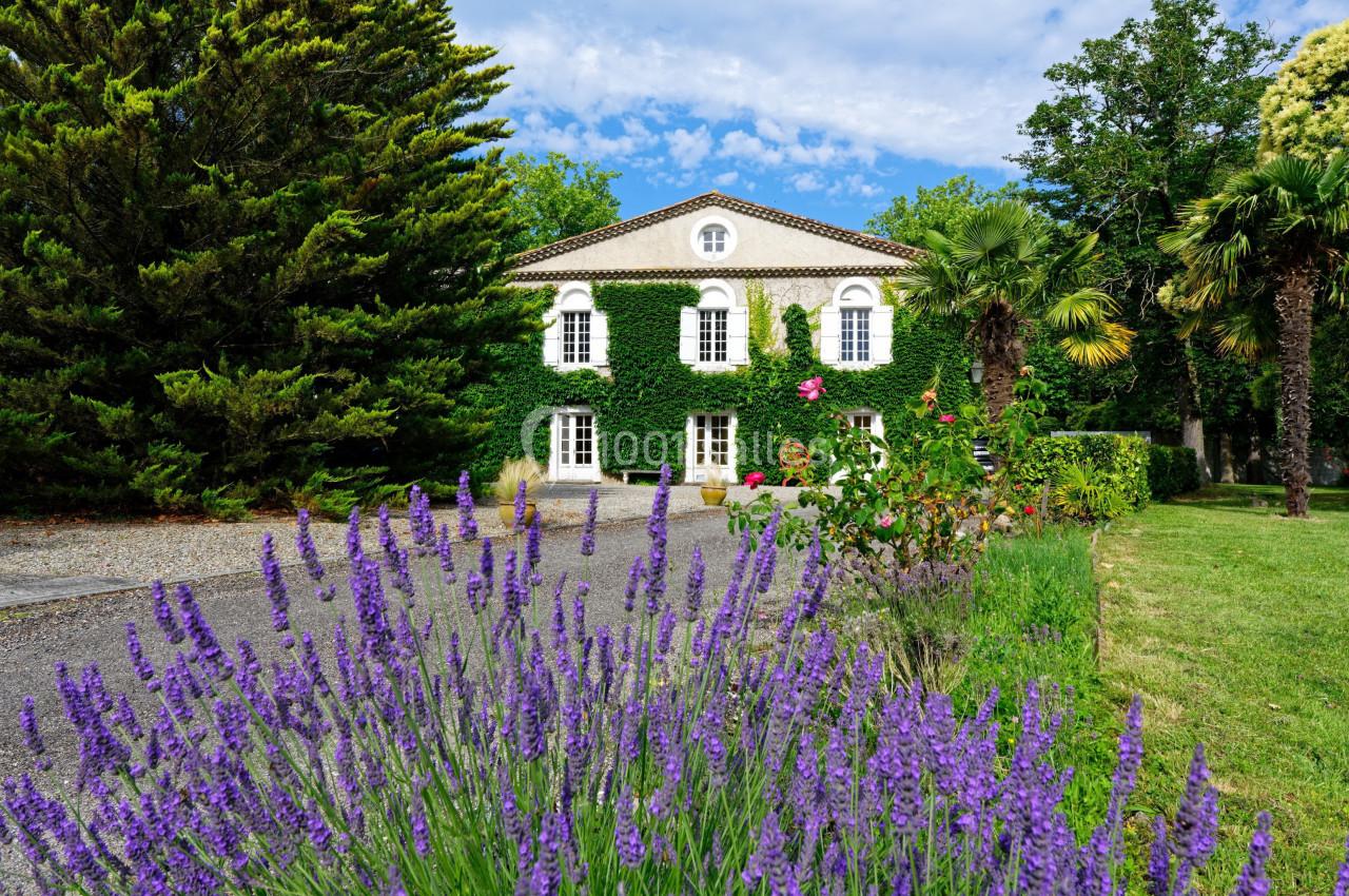 Location salle Mazerolles-du-Razès (Aude) - Château Saint Joseph #3