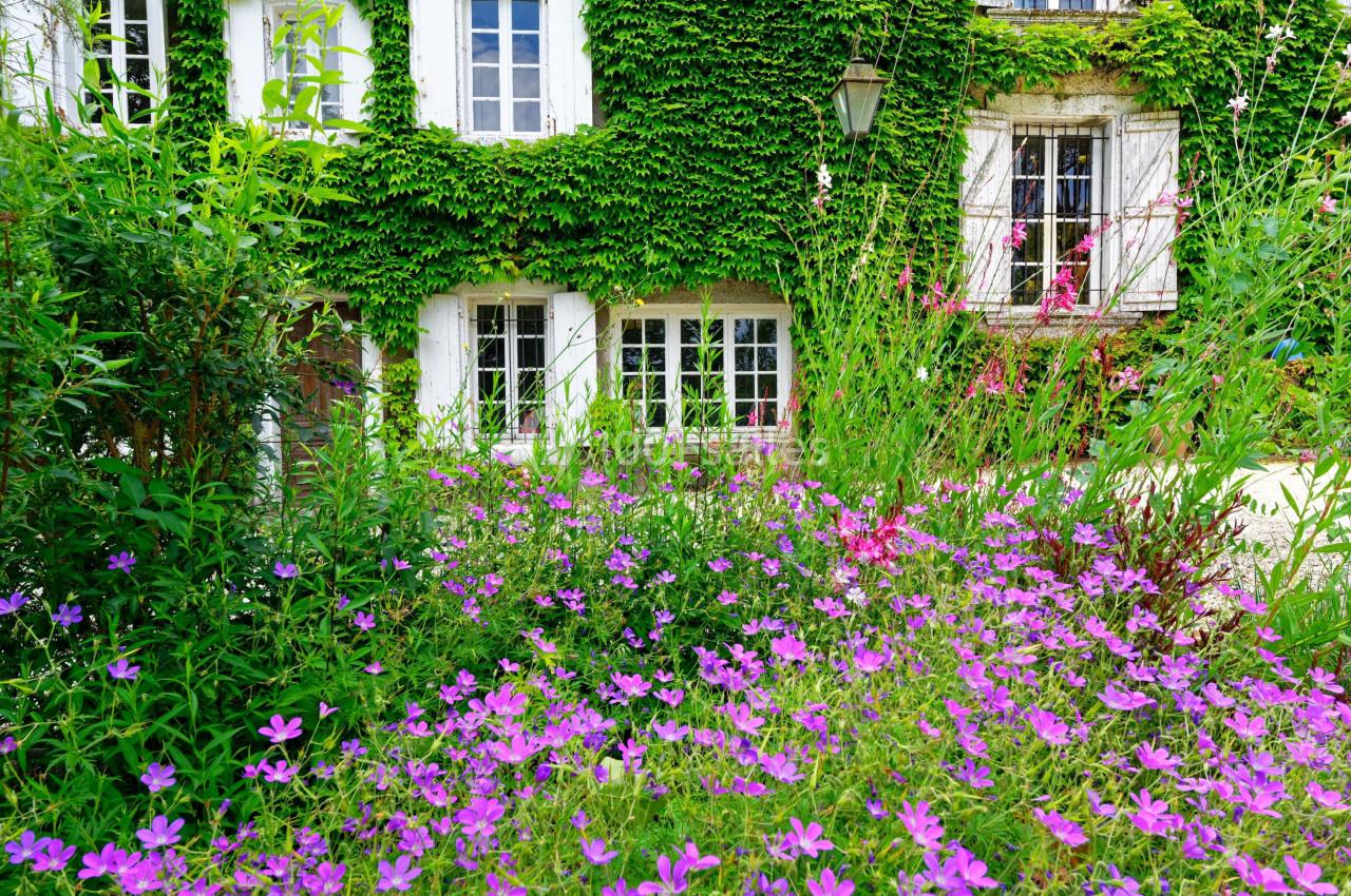 Location salle Mazerolles-du-Razès (Aude) - Château Saint Joseph #4