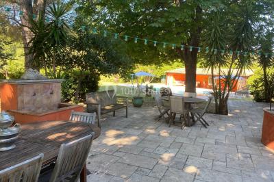 Terrain de pétanque ensoleillé entouré d'arbres et de végétation dans un jardin.
