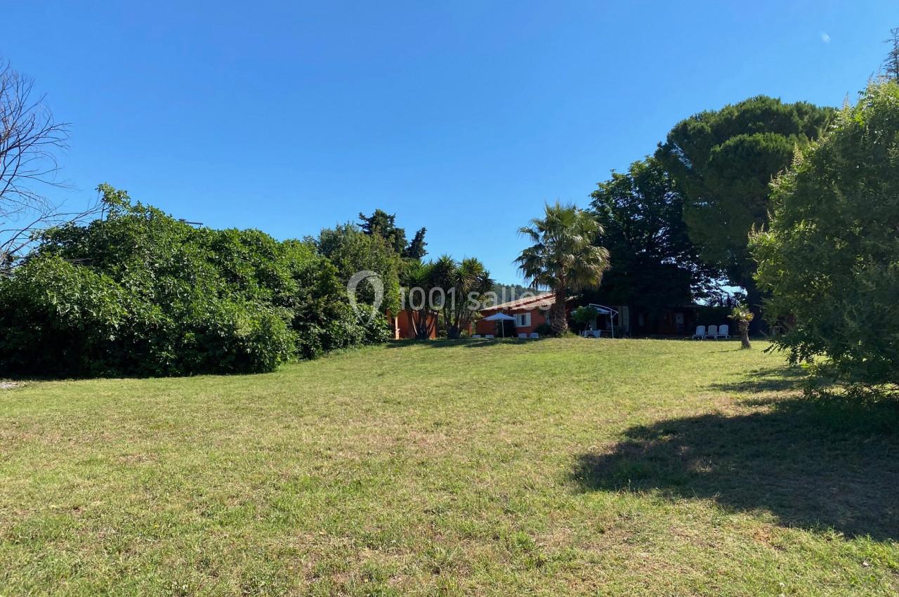 Pelouse ensoleillée bordée d'arbres et de buissons, avec une maison et des chaises visibles à l'arrière-plan.